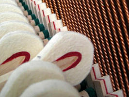 hamerkoppen van eerste klas vilt