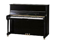 model 120: klassiek modern ontwerp